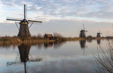 Doğal Holland'daki yel değirmenleri