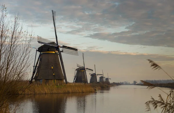 Windmills in Kinderdijk Holland — Stock Photo, Image