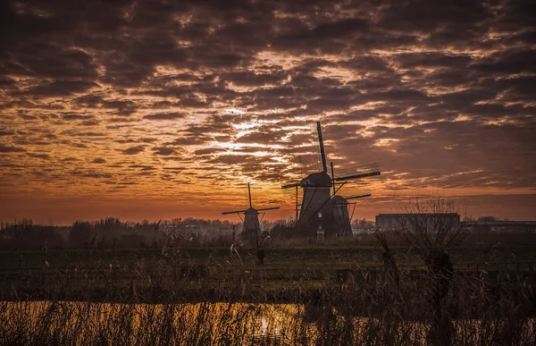 Kinderdijk 네덜란드 풍차 — 스톡 사진