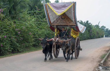 Yoke of oxen, Melaka clipart