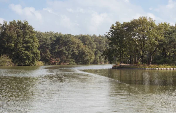 Natura z wodą w lesie chmury na niebie — Zdjęcie stockowe