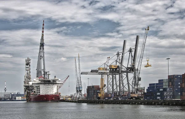 Stora kranar i nederländska hamnen — Stockfoto