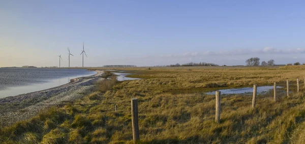 Dutch nature in zeeland panorama — Stok fotoğraf