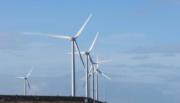 Windmolens in de buurt van rotterdam — Stockfoto