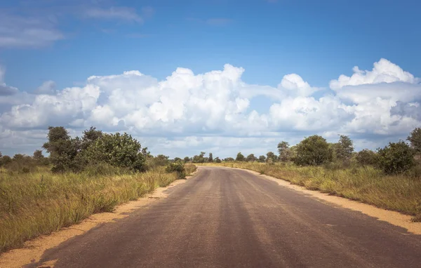 Weg in het kruger national park in Zuid-Afrika — Stockfoto