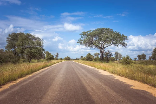 Strada nel parco nazionale del Kruger in Sudafrica — Foto Stock