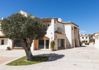 tipik İtalyan mimarisi ve Porto Cervo İtalyan Sardunya Adası, nerede seyahat yaz aylarında zengin ve ünlü onların özel tatil için yer merkezinde büyük zeytin ağacı