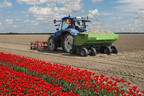 Trattore piantare patate in Olanda — Foto Stock