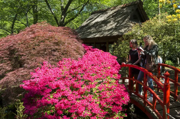 Haia Duas Meninas Fazendo Fotos Das Flores Park Clingendael Holanda — Fotografia de Stock