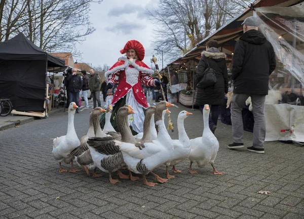 Femelle oie fille promenades avec un groupe d'oies — Photo