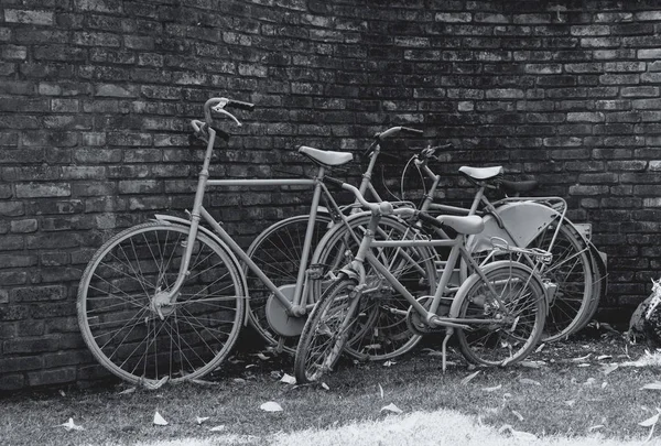 Tres bicicletas frente a un muro de piedra — Foto de Stock