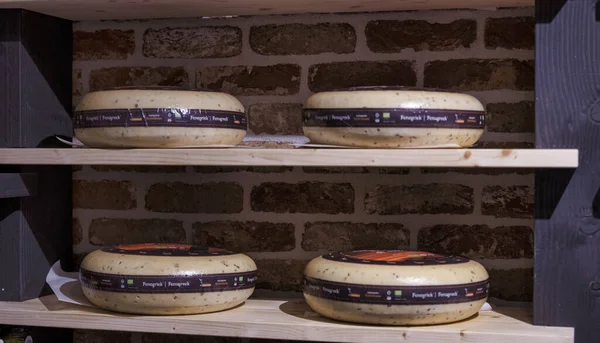 Hollanda keçi peyniri dükkanı — Stok fotoğraf
