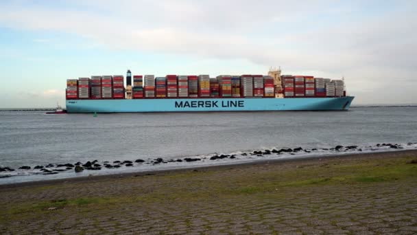 Rotterdam, Holandia, jeden z największych kontenerowców wpływających do Rotterdamu — Wideo stockowe