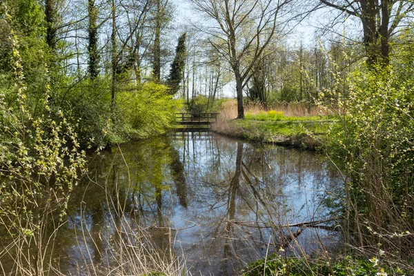 봄철에 작은 강을 가로지르는 나무 다리 — 스톡 사진