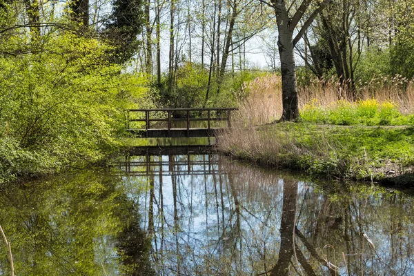 Drewniany most na małej rzece wiosną — Zdjęcie stockowe