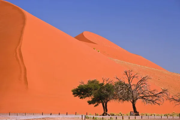 Uitzichtpunt met enkele bomen — Stockfoto