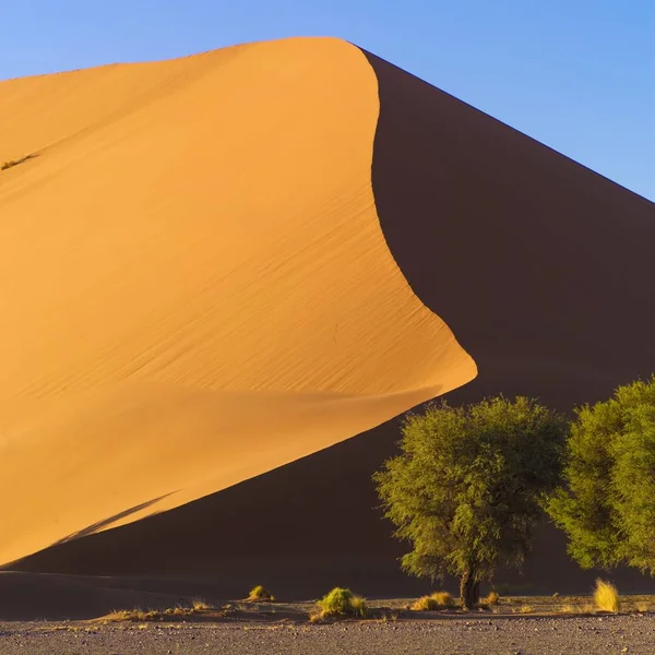 Sand Dune, Namibia — Stock Photo, Image