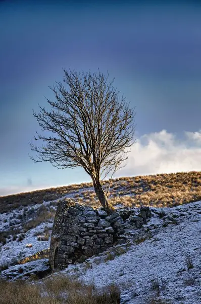 Albero vicino struttura in pietra nel paesaggio innevato — Foto Stock