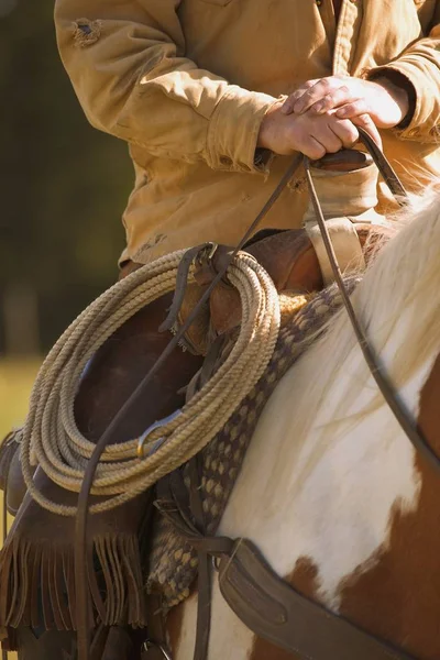 Cowboy på häst och Lasso — Stockfoto