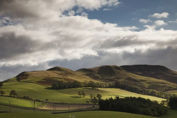 Paysage avec collines et lignes électriques — Photo