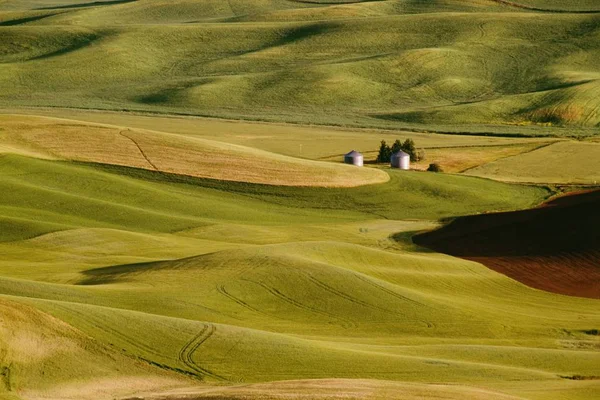 Green Fields with hills — Stock Photo, Image