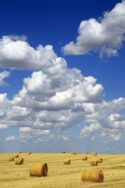 Hay Bales With White Clouds — Stock Photo, Image