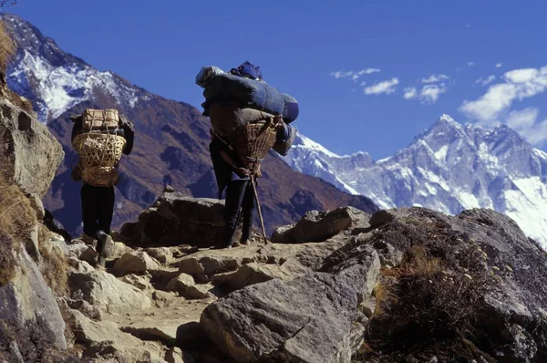 站在山峰的登山者 — 图库照片