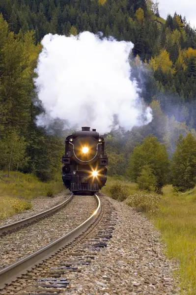 Black Steam Train Tracks Outdoors — Stock Photo, Image