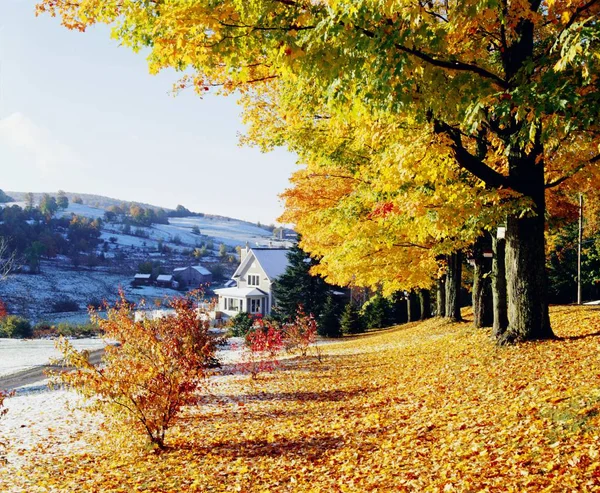 Granja a finales de otoño — Foto de Stock