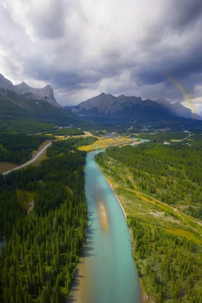 River surrounded by forest — Stock Photo, Image