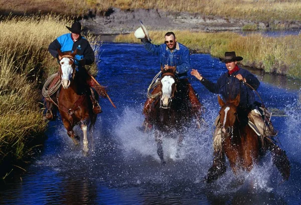 Cowboys auf Pferderennen — Stockfoto