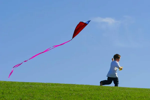 Νεαρό Αγόρι Που Πετούν Χαρταετό Στο Πεδίο — Φωτογραφία Αρχείου