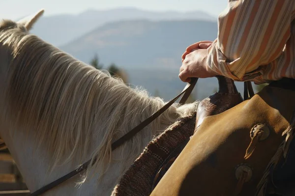 Cowboy man Horseback Riding — Stock Photo, Image