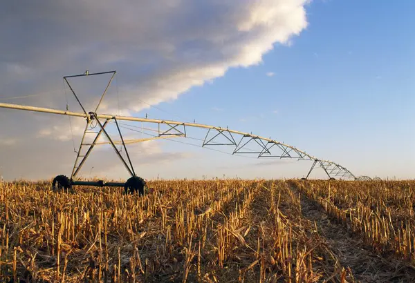Sprikler Irrigation In Field — Stock Photo, Image
