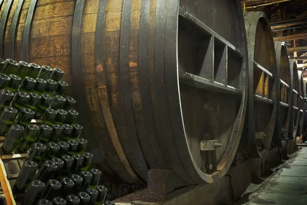 Oak Barrels Bottles Winery Mendoza Argentina — Stock Photo, Image