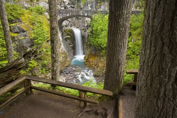 木と崖の上の滝 — ストック写真