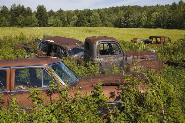 Old Abandoned Cars — Stock Photo, Image