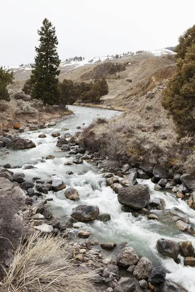 Potok protékající Yellowstonský národní park — Stock fotografie