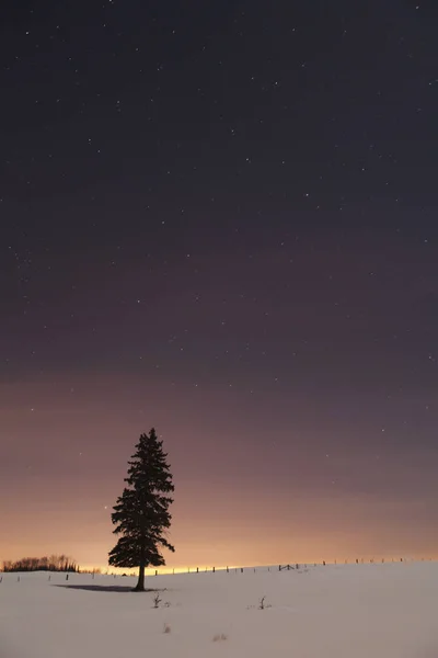 夜空の星 — ストック写真