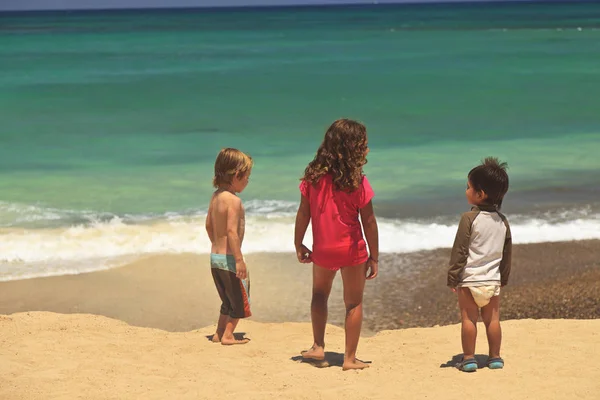 Niños Pie Una Playa Borde Del Agua Cabo Pulmo Baja —  Fotos de Stock