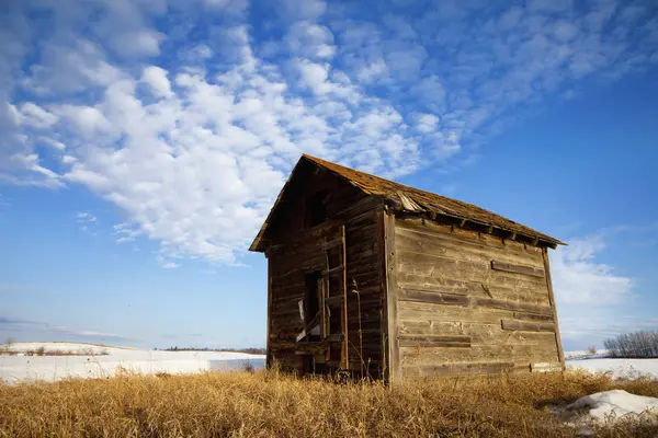Wooden Shed Stands Alone — Stock Photo, Image