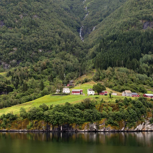 Albero coperto di montagna lungo l'acqua — Foto Stock