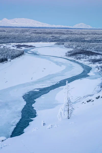 Wrangell dağlarının görünümü — Stok fotoğraf