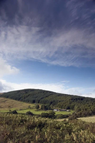 Rolling Hills with trees — Stock Photo, Image