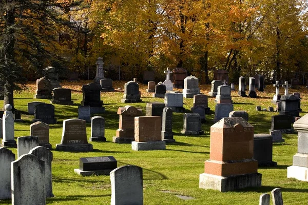 Scenic View Old Tombstones Cemetery — Stock Photo, Image