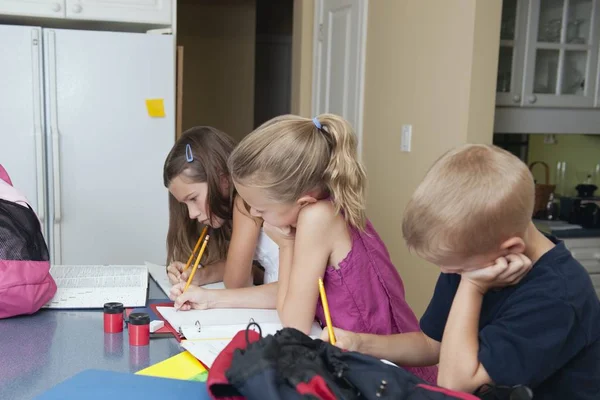Çocuklar Evde Ödev — Stok fotoğraf