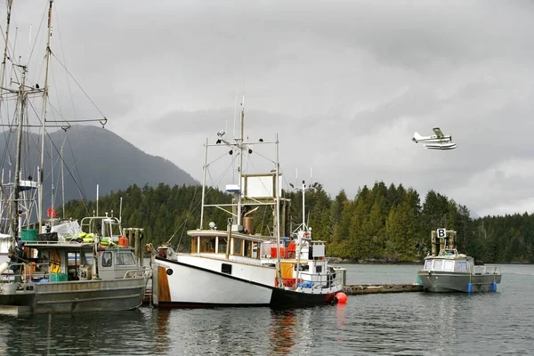 Bateaux de pêche dans le port — Photo