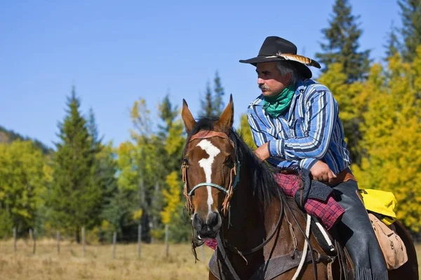 Cowboy Sitter Sin Häst — Stockfoto