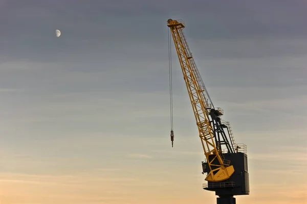 Crane mot kvällshimlen — Stockfoto