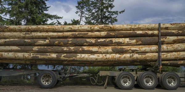 Grandes Troncos Cargados Camión Transporte Riondel Columbia Británica Canadá —  Fotos de Stock